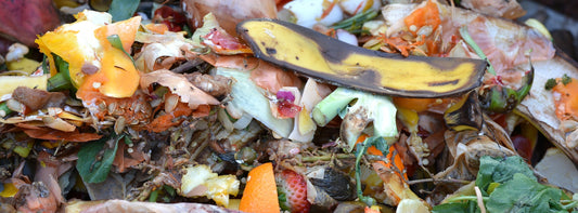 Compost Food Waste: A Simple Solution for a Healthier Planet